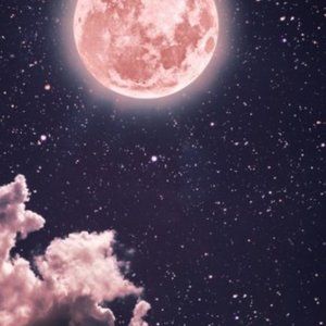 Meet your Posher, Luna.